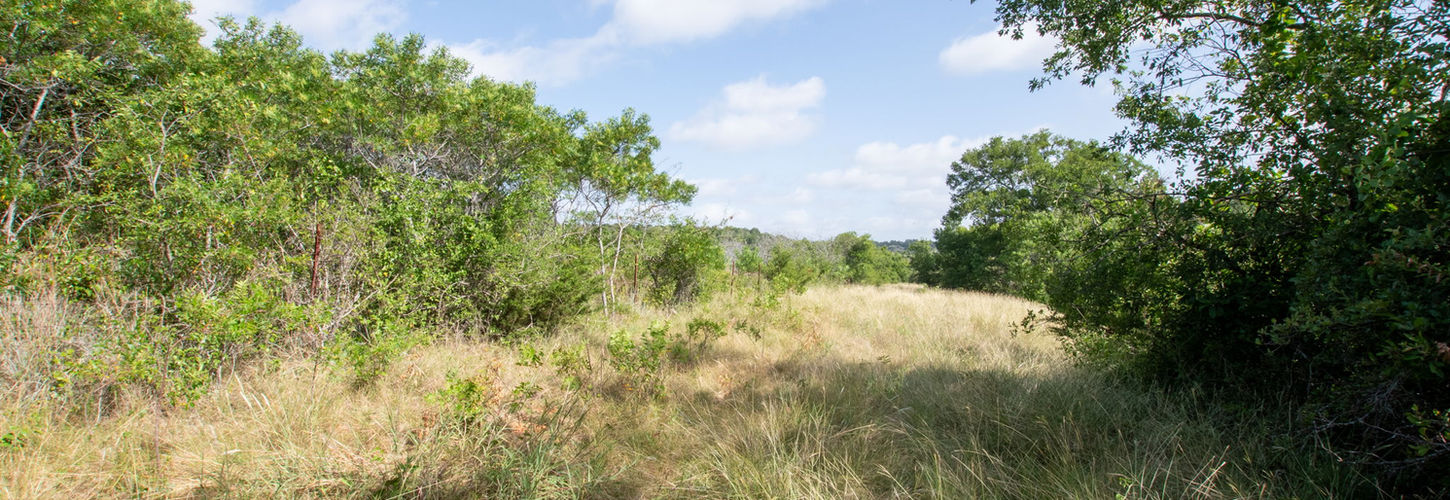 Star Ranches Tract 2 - 27 Acrea