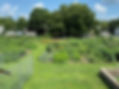 Community Garden