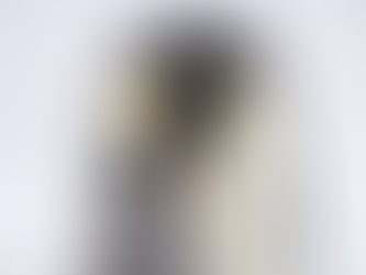 Penguin Species Series #9 - The Emperor Penguin