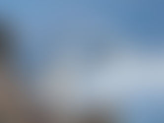 Penguin Species Series #3 - The Chinstrap Penguin