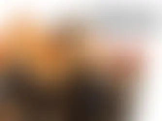 "The Rookie," "Will Trent," and "High Potential" all return for ABC's Winter lineup!