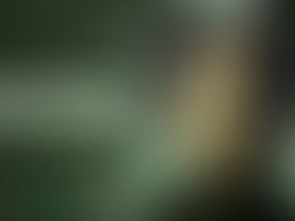 "Goosebumps: The Vanishing" brings the thrills and chills