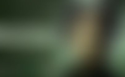 "Goosebumps: The Vanishing" brings the thrills and chills