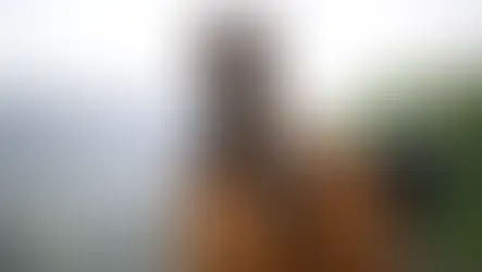 Hulu has officially renewed Paradise for Season 3