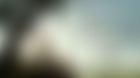 A Knight of the Seven Kingdoms – Episode 1 Review: A Smaller Story in a Very Big World