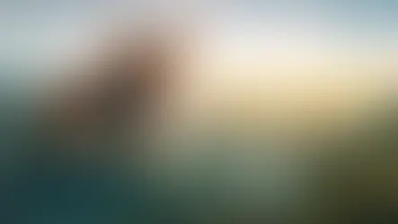 BBC's "Asia" gives an unfiltered view of its amazing wildlife 