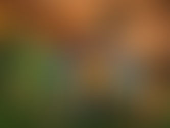 "Jurassic World: Chaos Theory" season 3  continues the incredible lore of the Jurassic Park Universe 