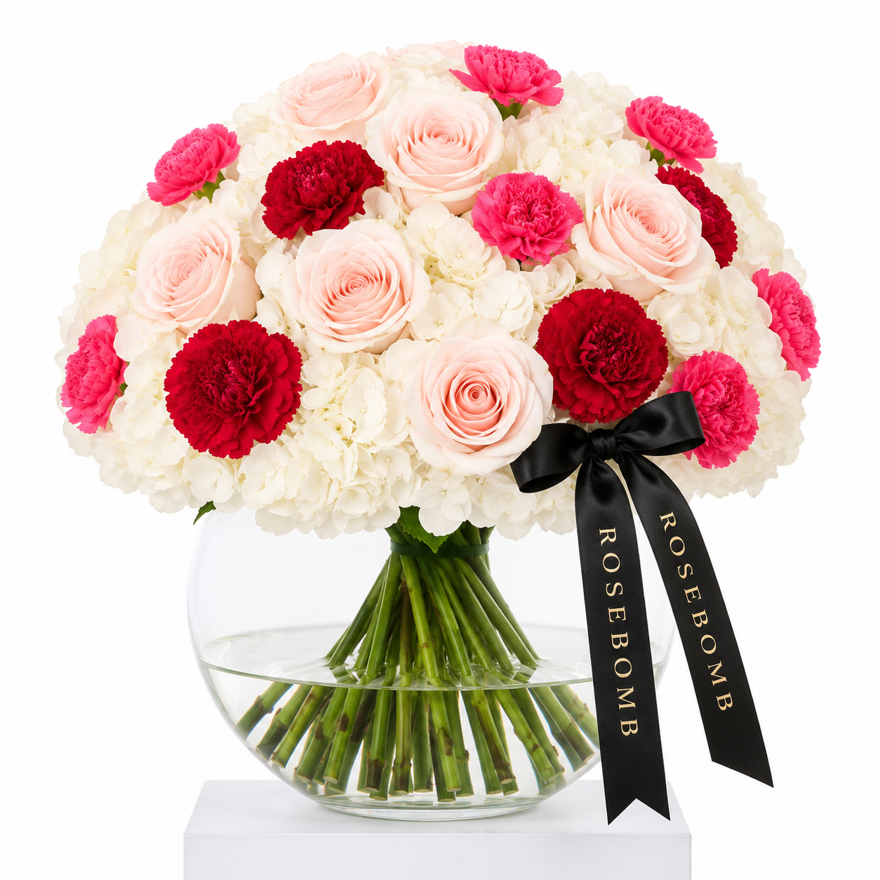 CARNATION BOMB