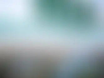 Where to Shop in Austin: A Local’s Guide