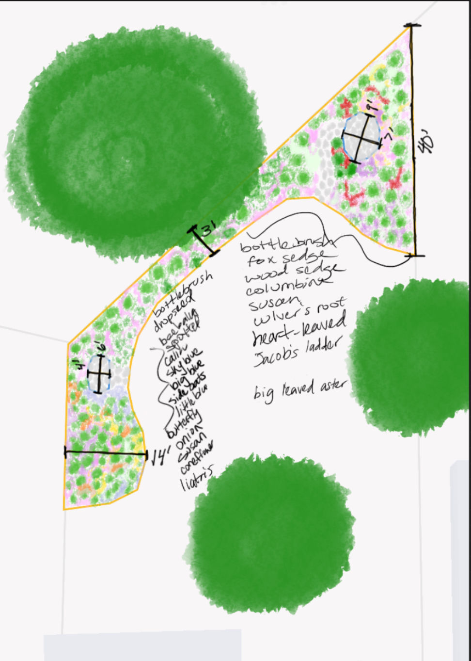 Back yard Design