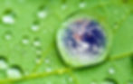 iStock_000051377284_Full.jpg