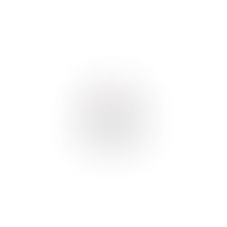 SHINWOO ELECTRONICS CO., LTD logo