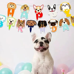 Doggy Theme Party Decor