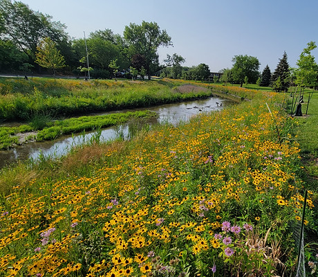 MWRD Addison Creek.jpg