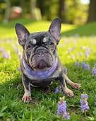 20250907_112043 (1).png