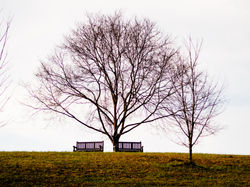 01 - 20 - 07, 116.jpg