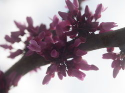 04 - 02 - 08, 058.jpg