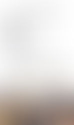 「Top 10 NYC hairstylists」