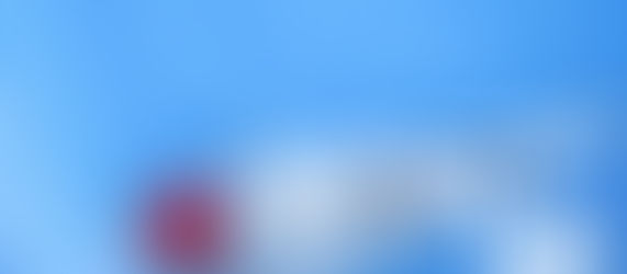 Dainichi Koi Farm Tancho Sanke