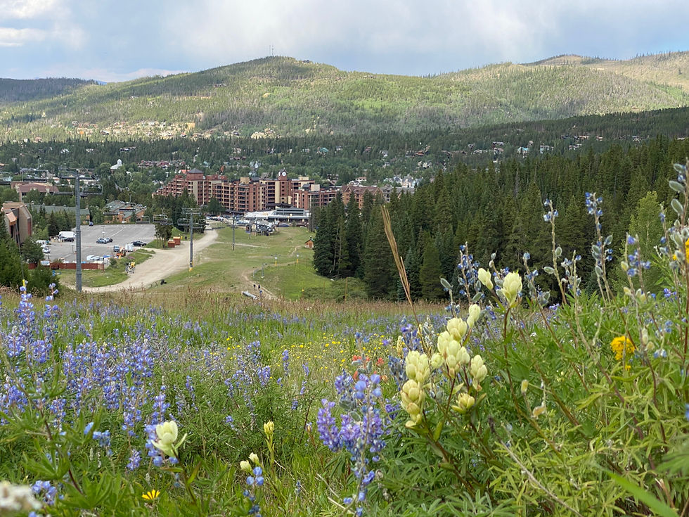 Epic Promise or Epic Problem? The Truth Behind Vail Resorts' Environmental Impact