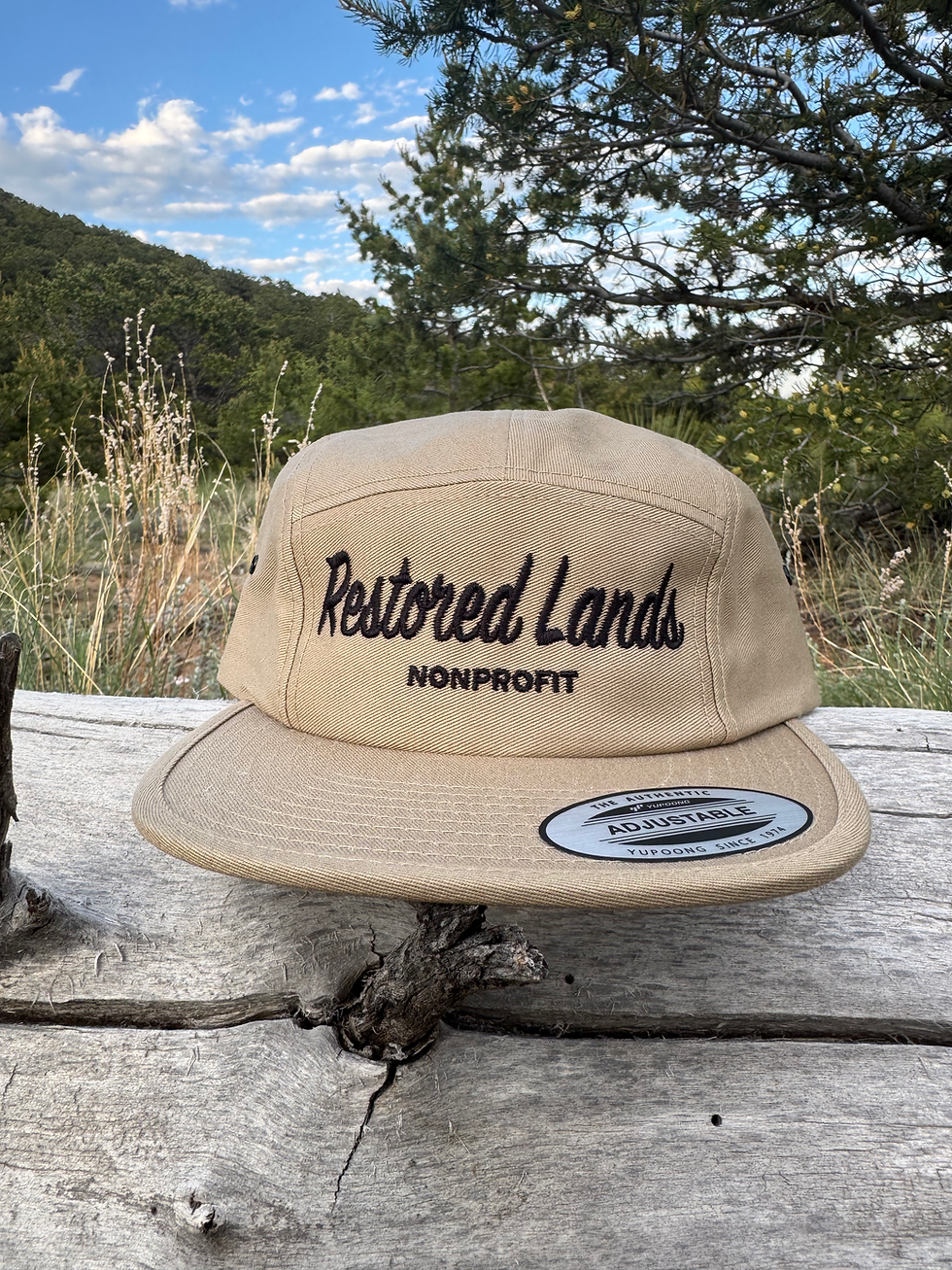 Thumbnail: Happy Camper hat