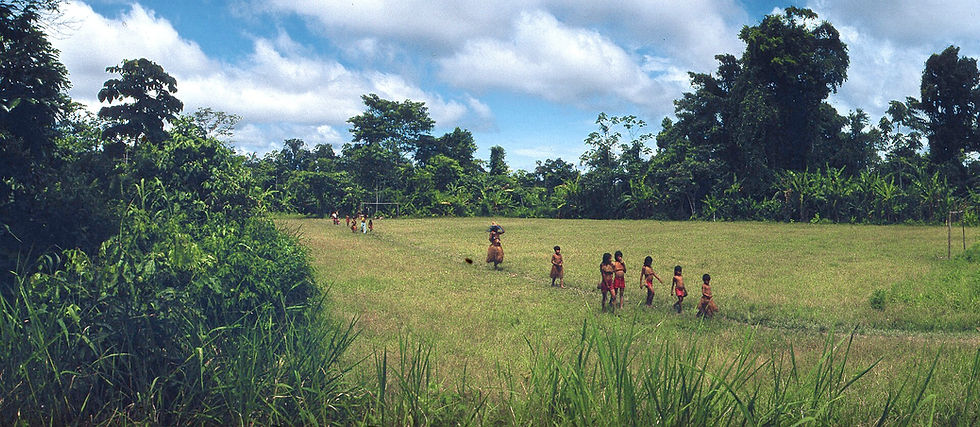 Uncontacted tribe