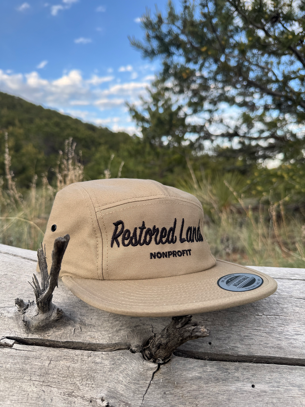 Thumbnail: Happy Camper hat