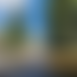 The Gore Creek’s Decline and Vail Resorts’ Contributing Role