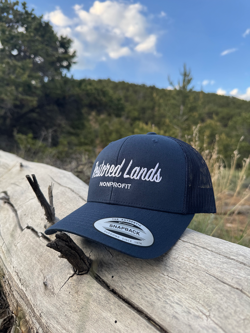 Thumbnail: Daily Driver Trucker Hat