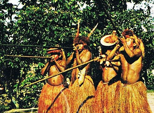 Indigenous with their blowguns