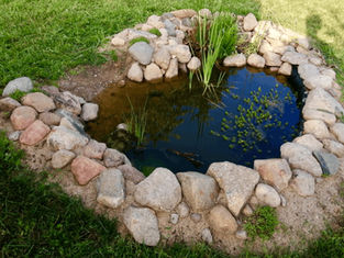 Ein kleiner Teich mit flachen Ufern
