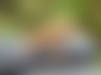 Amphibien auf der Spur, Teil 5