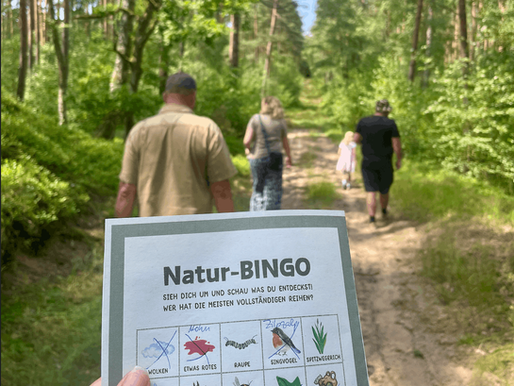 Waldspaziergang mit NaturBINGO