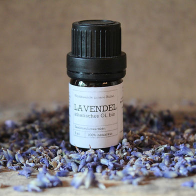 Intensiver Duft von Lavendelblüten für Wellness und Pflege im kleinen Apotheken Fläschchen