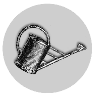 Miniaturbild: Lavendel Blumensamen bio - blaue Mischung