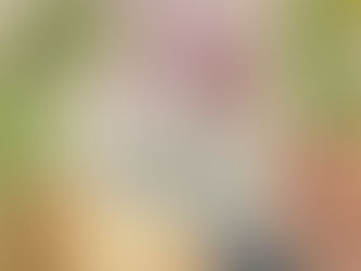 Finanziaria Sicilia, Geraci - Lega: "Contributo economico ai Comuni che hanno stabilizzato personale precario"