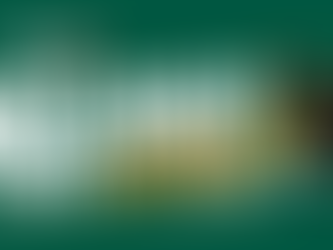 Holiday Vinyl Market Muricello, al noto mercato coperto di Messina si festeggia il vinile il 29 dicembre da mattina a sera