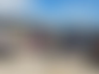 Centro Helen Keller riceverà domani a Palazzo Zanca 5 cani guida e 9 bastoni bianchi per ciechi: basilari per autonomia      