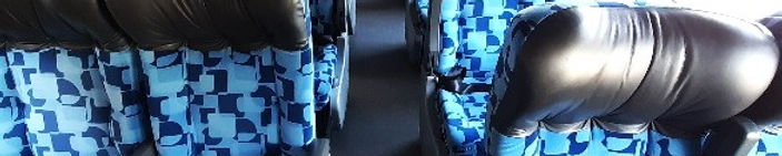 Premium Bus