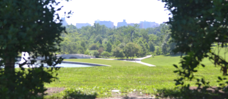 I was scared but I fell in love