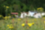 A view from the bottom of our garden towards our house during a day in spring