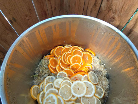 Bezgov Sirup / Elderflower syrup