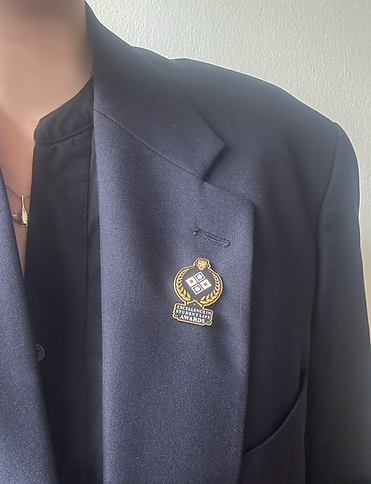 Excellence Pins.png