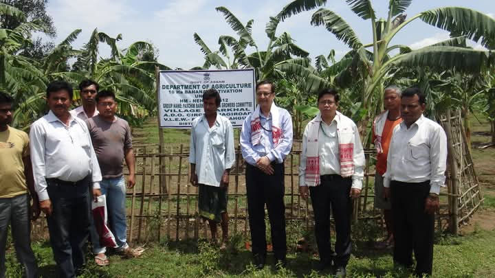 Visit to Banana Plantation in Assam (Area – about 20 Hectares ), under Mission for Integrated Development of Horticulture(MIDH)