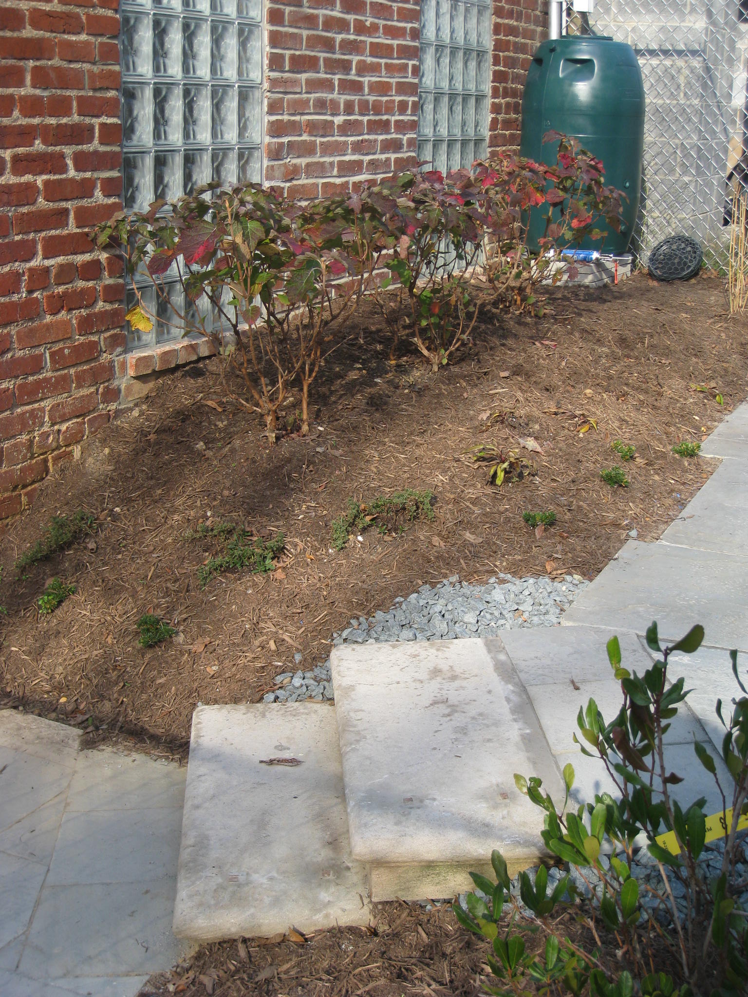 Steps from local library renovation