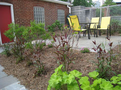Patio of previously used bluestone