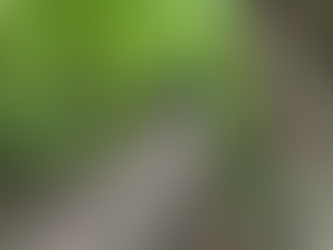 🌿 Pourquoi jeûner en pleine nature transforme profondément l’expérience ?