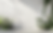 u1414571474_A_close-up_of_the_corner_wall_adorned_with_green_pl_68845b3e-092d-430e-a2e6-fa