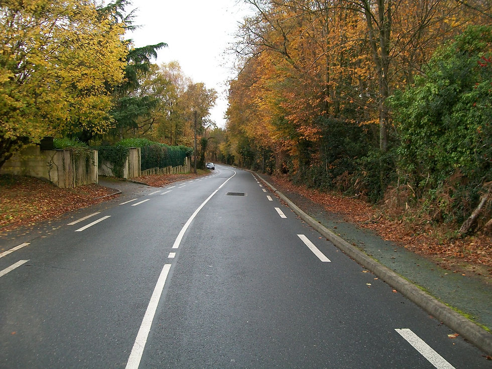 Route de la Garenne à Orvault.