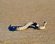 valée de la mort de regpassion